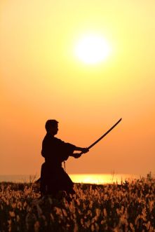 7415ece6770cdac4647c4a2d63cb9a8e